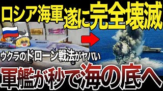 【ゆっくり解説】ロシア海軍戦力の半分が海の底！？ウクライナの「バイラクタル」に次々と破壊されるロシア艦隊