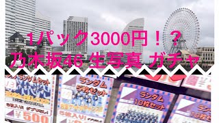 【1パック 3000円！？】秋葉原で乃木坂46 生写真 ガチャを回した結果☆