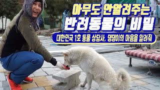 대한민국 1호 동물상담사 박민철/ 목줄을 끌고 가는 강아지, 한 우리에서 싸우는 토끼들, 울기만 하는 고양이/ 반려동물의 마음/ 다큐에세이 그사람/ 부산MBC 20190115 방송