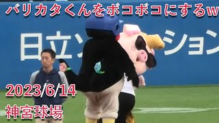 つば九郎、バリカタくんをボコボコにするw