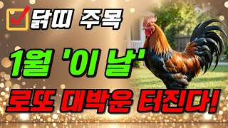 닭띠 주목! 2025년 1월 닭띠 로또 대박납니다! 로또 1등 당첨되는 닭띠를 위한 충격적인 운세 2025년 닭띠 운세 45년생 57년생 69년생 81년생 93년생