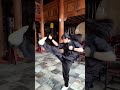 小女孩步伐稳健，拳法出色，英姿展豪情！ huangyanmartialarts kungfu martialarts china fujian