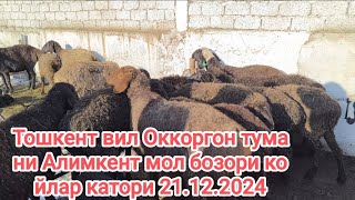 тошкент вил Оккоргон тумани Алимкент мол бозори койлар катори 21.12.2024