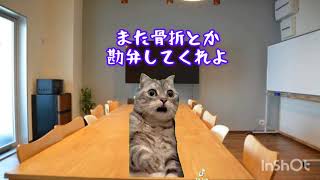 歩けないのに歩こうとする認知症の母【猫ミーム】#猫ミーム#認知症#骨折