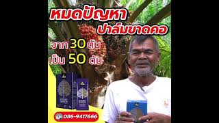 แนะนำ 4Tree กับอะมิโนเรด ใช้กับสวนปาล์ม