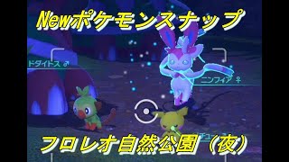 【Newポケモンスナップ】ルートスコア　6532806点　フロレオ自然公園（夜）