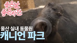 울산 실내 동물원 '캐니언 파크'📼 윱.zip