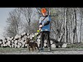 Branco - Hundo PARODI (Guld Dennis - Hund Do')