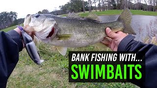 DRT Tiny Klash and MattLures Hardgill Swimbaits | Bank Fishing with Swimbaits in Winter