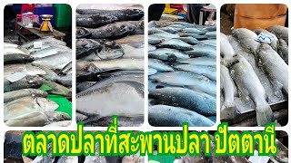 ตลาดปลาที่ท่าเรือสะพานปลาเมืองปัตตานี ยังคึกคักเหมือนเดิมหรือไม่