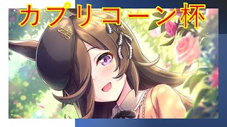 カプリコーン杯 決勝放送 ヒシアケボノ ライスシャワー タマモクロス【ウマ娘】