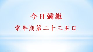 2022/09/04 (日)  常年期第二十三主日 網路直播