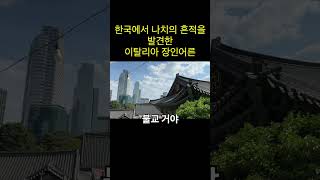 한국에서 나치의 흔적을 발견한 이탈리아 장인어른