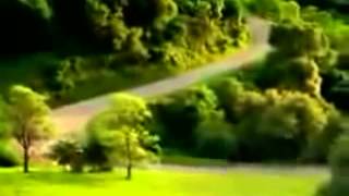 Car driving down hill SCARY POP UP!