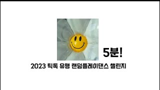 2023 유행했던 틱톡 랜플