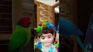 തത്ത | Parrot | ഇത് എന്താ പൊന്നുക്കുട്ടി 🥰🥰 Ponnukutty | Adhrita | Good Morning | Suprabhatam