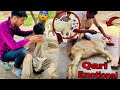 Qurbani Ho Gai💔 Qari Emotional Ho Gya🥹 Eid day 2nd | Eid Mubarak❤️