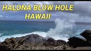 HALONA BLOW HOLE I BEST PLACES TO VISIT IN HAWAII