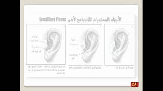 تشریح و فیزیولوجیا الأذن