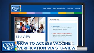 How to Access Vaccine Verification Via Stu-View | Verified by Synergy Gateway