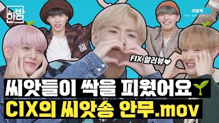 씨앗이들의 '씨앗송'이 궁금해?? CIX (씨아이엑스) 귀욤 뽀짝 여기 다 있징😊 ｜휴방위 선공개