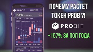 Кто скупает Токены ProBit (PROB)? Растёт уже 6 месяцев подряд!