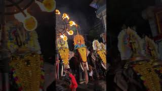 Perunna sree subramanya swami thaipuya kavadi vilak കാവടി വിളക്ക് തൈപൂയം