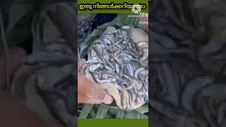 ഇതു നിങ്ങൾക്കറിയാമോ 😳😳#shortsfeed #facts #subscribe #share #shorts #viralshort #viralvideos #india