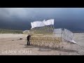 Theo Jansen’s Wind-Powered Sculptures | The New Yorker