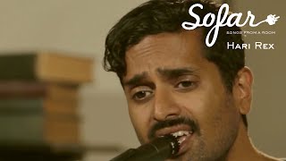 Hari Rex (Young Hunting) - Red Rose | Sofar Mexico City