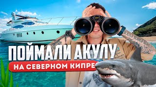 Акула на Северном Кипре | Морская Рыбалка на Средиземном море | Северный Кипр