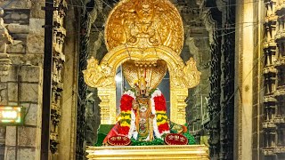 Maasi Theppam Ursavam day 3 Srirangam Temple Karpagaviruksham