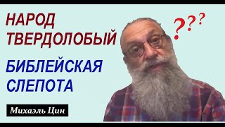 Народ твердолобый. Библейская слепота. ПОЧЕМУ? | Михаэль Цин