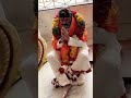 nandamuribalakrishna celebrates his birthday with a special pooja happy birthday nbk gulte.com