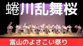 【蜷川乱舞桜】【富山のよさこい祭り】