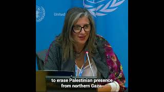 Special Rapporteur Albanese highlights the dire situation of Palestinians in Gaza | United Nations