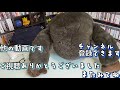 【ps2メモリーカードガチャ】どんなセーブデータが入ってるのかな！？（part３）