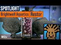 Coral Nutrition for Healing & Coloration! - Brightwell Aquatics Restōr