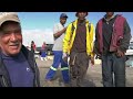 vlog 03 snoek and the community typical day in st helena bay harbor when its snoek season.