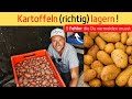 Kartoffeln (richtig) lagern 🥔 5 FEHLER, die Du vermeiden musst!