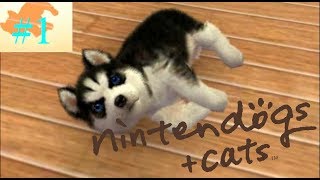 【nintendogs + cats】オネェさんが犬\u0026猫と戯れる！？　#1【フレンチ・ブル \u0026 Newフレンズ】