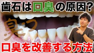 【口臭ケア】歯石は口臭の原因？口臭を改善する方法を教えます！ #shorts