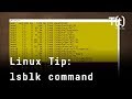 How to use the lsblk command: 2-Minute Linux Tip