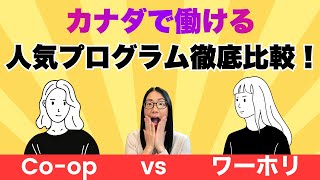 【カナダで働ける人気プログラム比較】Co-opとワーホリの重要な違い５つ！