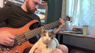 Trying to play Ego Death on Bass with my cat