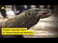 Proyek Jurassic Park di Taman Nasional Komodo | Narasi Newsroom