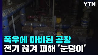 폭우에 마비된 공장...전기마저 끊겨 피해액 '눈덩이' / YTN