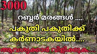 3000 റബ്ബർ മരങ്ങൾ പകുതി പകുതിക്ക് കർണാടക പുത്തൂരിൽ ആവശ്യക്കാർ വിളിക്കുക || Subscribe Channel ||