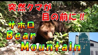 クマを見にサホロベアマウンテンにＧＯ‼