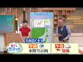 【秋なのに花粉症？例年より多い？その理由は？】空ネット（９月１５日放送）